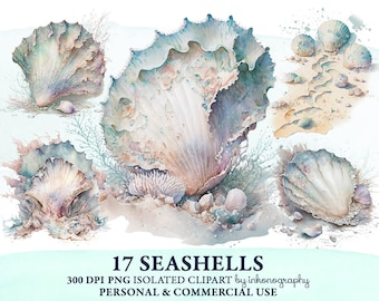 Watercolor Seashell Clipart Bundle, Seashell Png, Sealife Digital Clipart, Sea Shell, Ocean Clipart, Summer Instant Download Sea Clipart