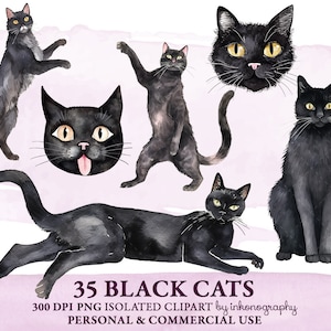 Funny Black Cat Clipart Bundle, Black Cat Png, Cat Lover Images Watercolor Pet Illustration Instant Digital Download Funny Cats Scrapbooking
