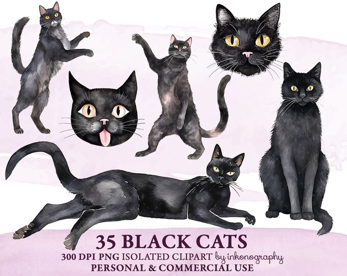 61 Funny Black Cats Clipart Bundle, Cute Black Cat Png Bundle ...
