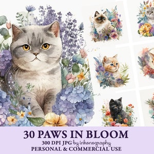 Floral Cat Kitten Clipart Bundle, Flower Digital Illustration, Paper Crafting Image, Junk Journaling Scrapbook Painting Art Prints Download