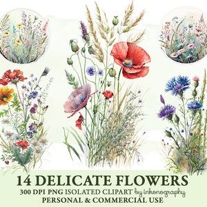 Fleurs sauvages Clipart Png, Centaurée Aquarelle Coquelicots Meadow Clipart, Boho Clipart, Fleurs de pavot rouge Téléchargement instantané Livre de ferraille numérique