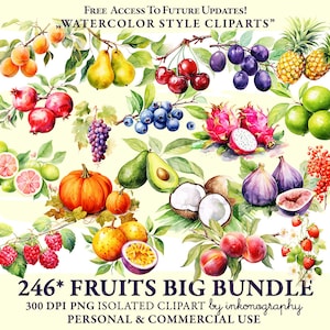 Acuarela de frutas PNG / Imágenes prediseñadas de frutas / Imágenes prediseñadas de alimentos / Uso comercial / Paquete de imágenes prediseñadas de frutas / Descarga digital / Frutas tropicales Png