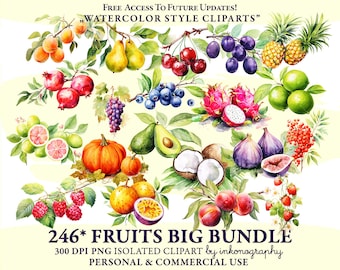 Fruit Watercolor PNG | Fruit Clipart | Food Clipart | Commercial Use | Fruit Clipart Bundle | Digital Download | Tropical Fruit Png