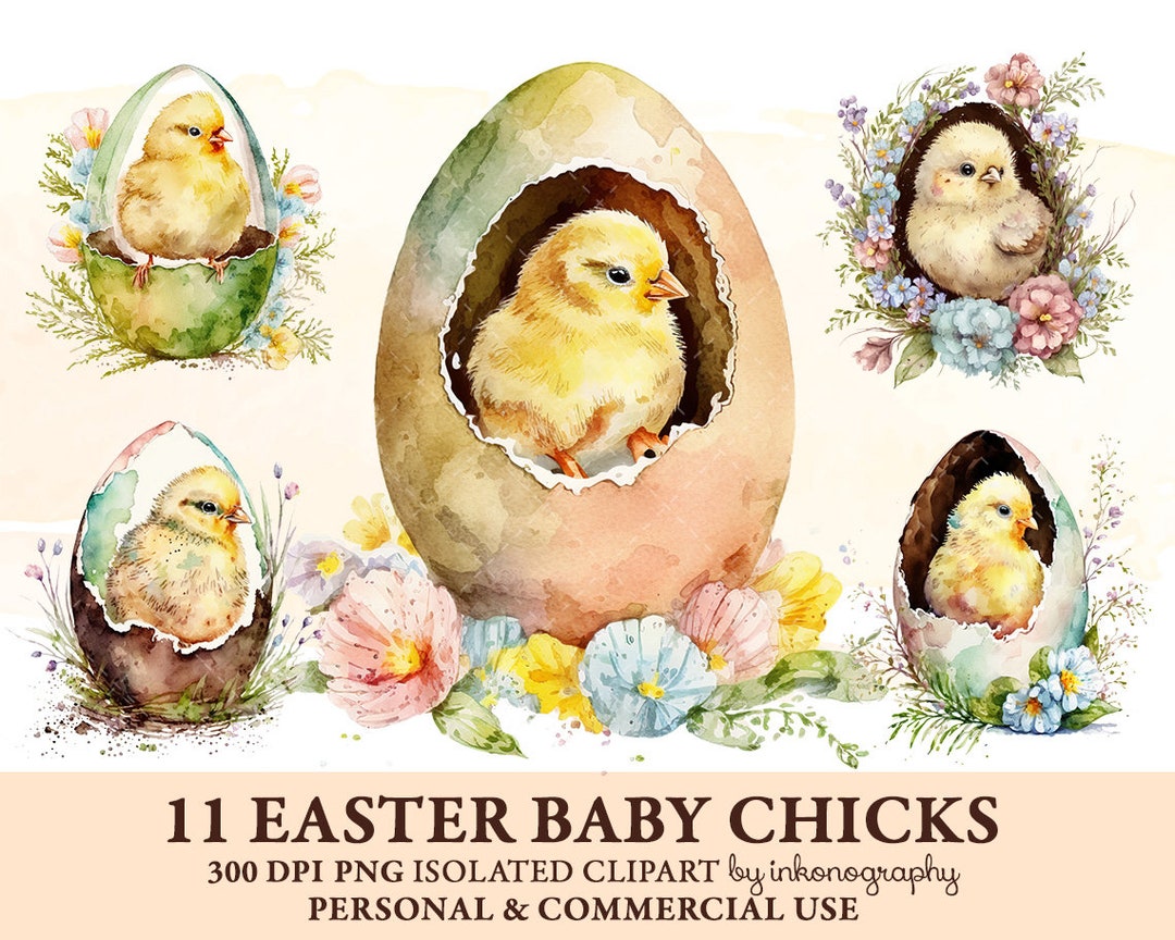 Watercolor Easter Baby Chick Clipart, Easter Chickens Png, Cute Animals ...