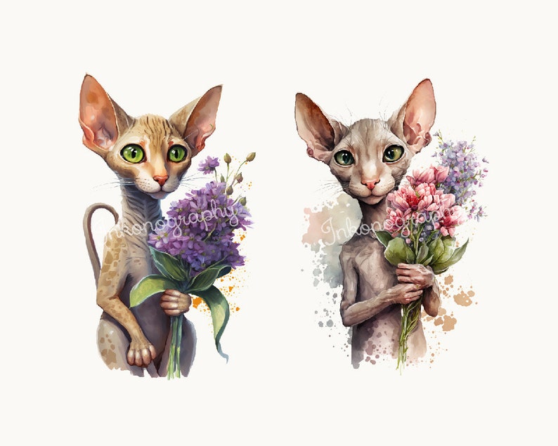 Cute Kitten Clipart Bundle Watercolor Cat PNG Floral Cats - Etsy