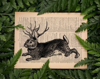 Jackalope, Cottagecore Decor, Mythical Creature, Cottage Core Gift, Rabbit Print, Hare Art, Cryptid Witchy Poster Cottagecore Room Decor 092
