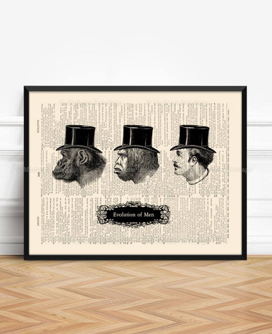 Human Evolution of Man, Darwin Anthropology Art Science Teacher Gift ...