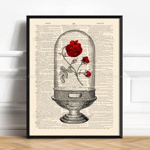 Enchanted Rose, Dome With Red Rose, Beasts Rose Poster, 7th Year Anniversary, 16th Birthday Gift, Gift for Her 5th, Nursery Print Rose,  505