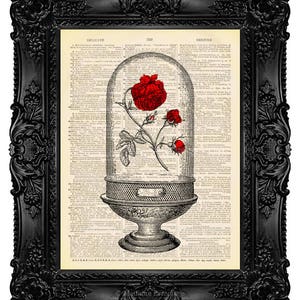 La Bella y la Bestia Encantada Rosa Impresión La Bella y la Bestia Cumpleaños Boda Regalo de San Valentín para la Novia La Bella y la Bestia Arte 505