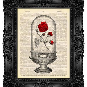 Beauty and the Beast Enchanted Rose Print Beauty and the Beast Birthday Wedding Valentine Gift for Girlfriend Beauty and the Beast Art 505