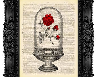 Beauty and the Beast Enchanted Rose Print Beauty and the Beast Birthday Wedding Valentine Gift for Girlfriend Beauty and the Beast Art 505