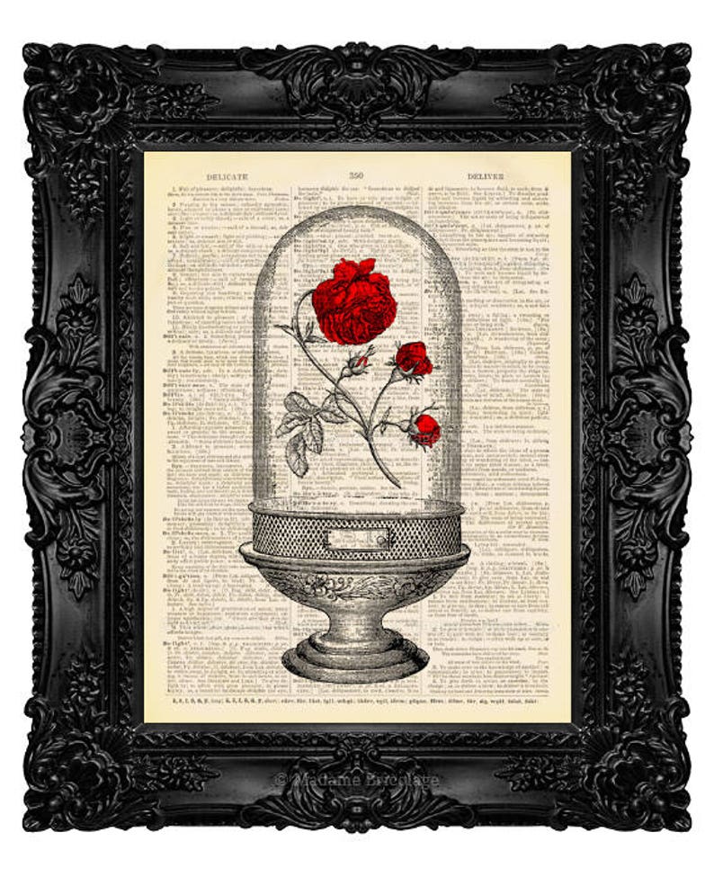 Beauty and the Beast Enchanted Rose Print Beauty and the Beast image 0