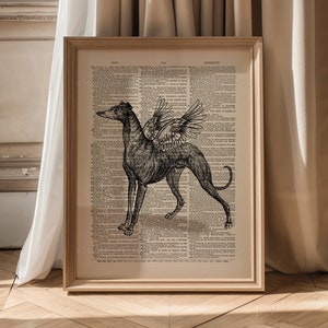 Puede incluir: Una ilustraci&oacute;n en blanco y negro de un galgo con alas impresa en una p&aacute;gina de diccionario vintage. La p&aacute;gina est&aacute; enmarcada en un marco de madera claro.