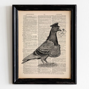 Impresión divertida de la paloma, regalo único, regalo del cartero, arte de la paloma mensajera, decoración de la habitación de los niños Steampunk, pájaro del cartel de la guardería, impresión del arte del diccionario 226