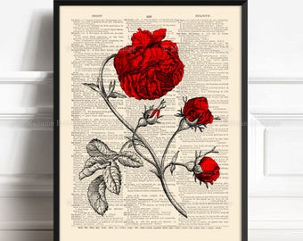 Red Rose Decor, Brother Poster Gift, Romantic Gift, Wedding Favor Poster, Gothic Girl Gift, 1st Anniversary Gift, Gift for Her 40th, 422
