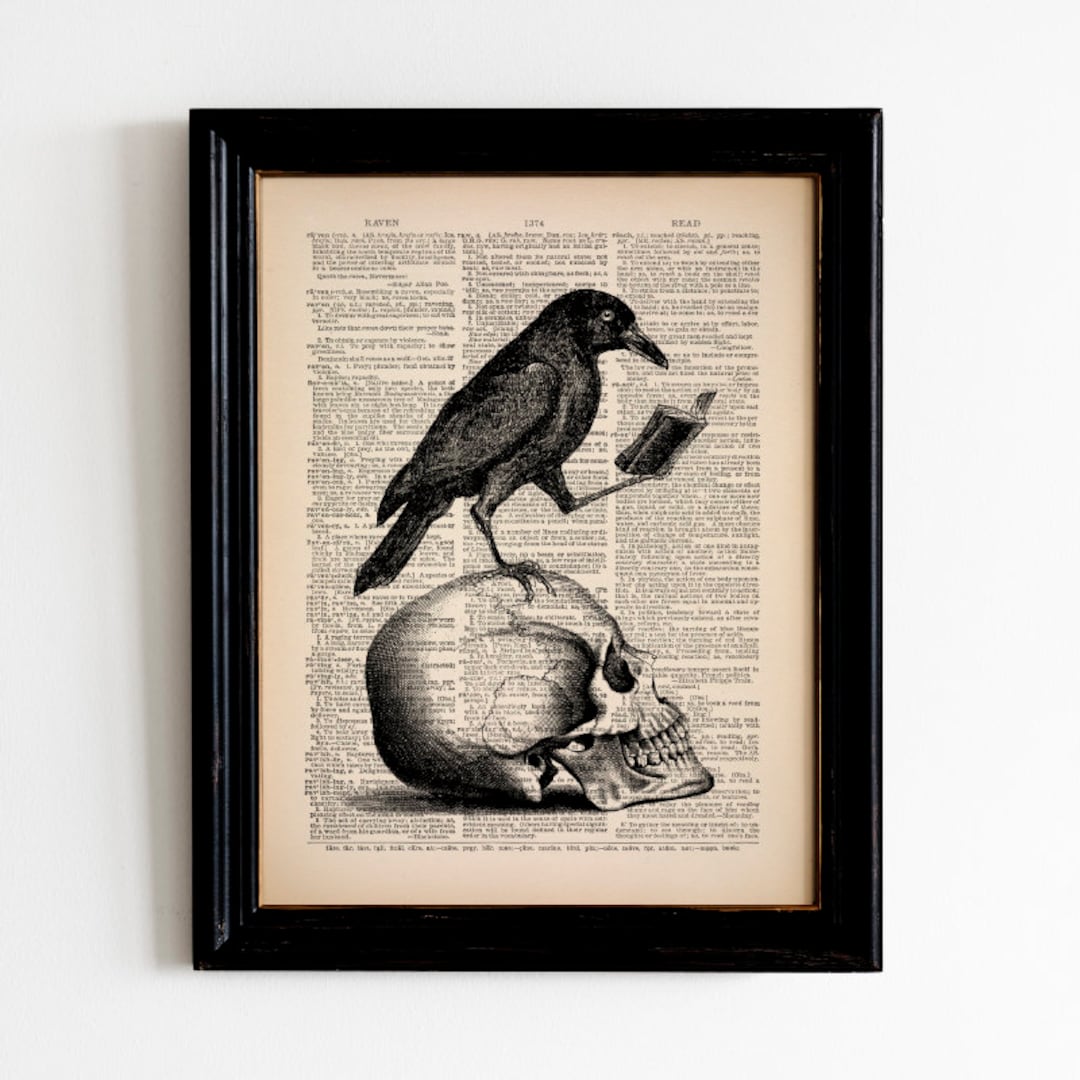 Edgar Allan Poe Inspired Gothic Throw Pillows Ravens Skulls 