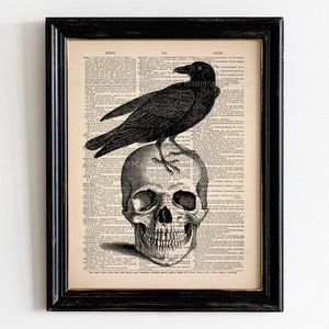 Raven Edgar Allan Poe Raven Skull Nevermore Book Reading Crow Black Bird Gothic Poster Gift for Book Lover Gift for Goth Halloween Art 054