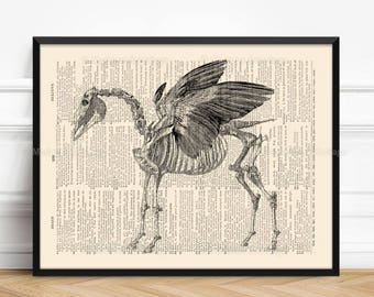 Pegasus Bones Print, horse lover gift, Greek Mythology, Gothic Girl Gift, Legendary Creature, Funny Dorm Poster, Pegasus Skeleton, Wall  116