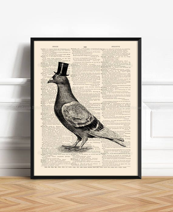 Funny Pigeon , Unique Gift Print, Dorm Decor, Gay Couple Art, Gift for Her 5th, Funny Animal Gift, Nursery Poster Bird, Home Dorm Wall  311