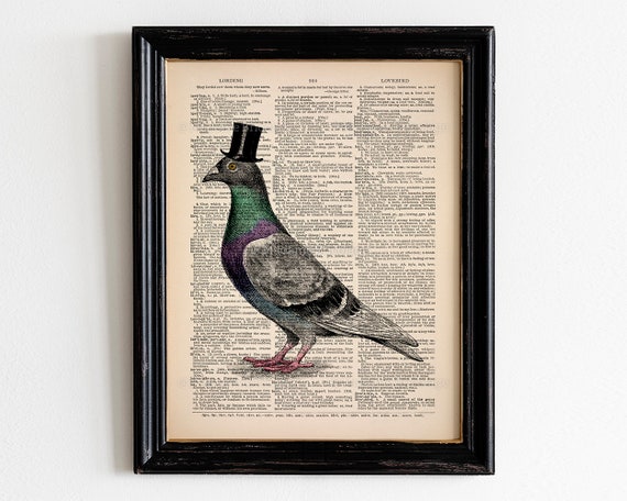 Cool Pigeon, 3rd Birthday Gift, Mother Gift Print, Gifts For Her, Funny Animal Poster, Nursery Poster Bird, Victorian Hipster, Wall 313