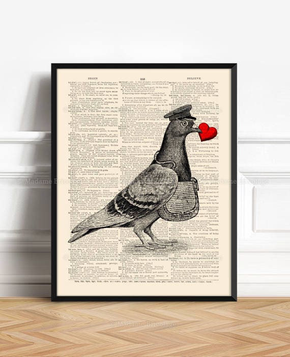 Funny Pigeon, Gay Wedding Gift, 20 Anniversary Gift, Cool Bridesmaid Gift, Mom Art Gift, Baby Gift, Love Birds, Home Dorm Wall Decor 501
