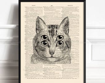 Lustige Katze Geschenke für Katzenliebhaber Geschenk für Frauen Ihre Männer Katze Poster Lustige Rahmen Katze Kunst Leinwand Katze Dekorationen für Hauskatze Vintage Art 473