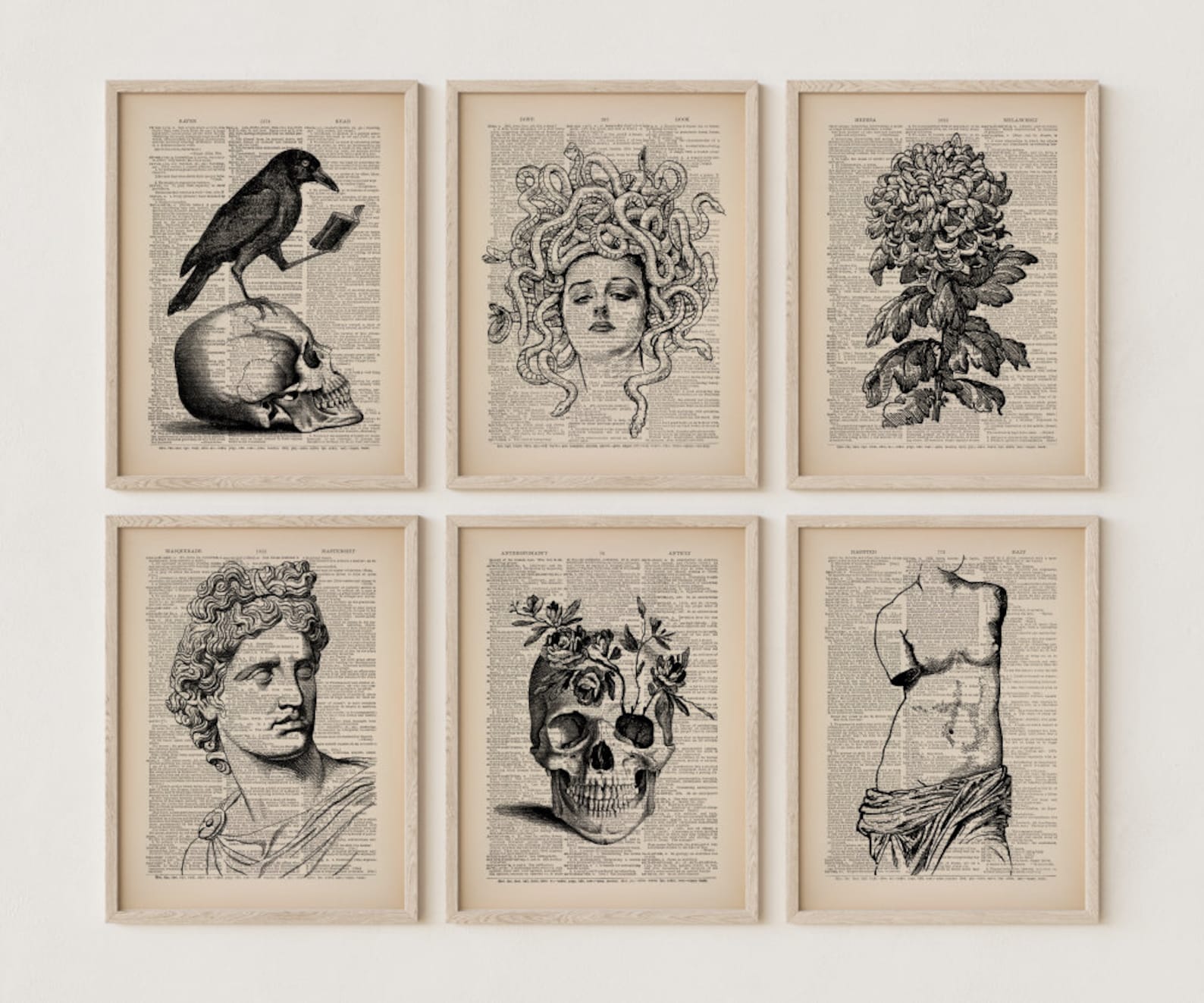 six paintings on dictionary pages featuring a raven reading a book on a skull, Medusa, a dahlia flower, alexander the great, a skull with roses growing out of it, and the venus dimilo 