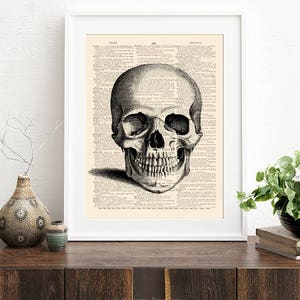K&ouml;nnte beinhalten: Eine Schwarzwei&szlig;illustration eines menschlichen Sch&auml;dels auf dem Hintergrund einer alten Buchseite. Der Sch&auml;del ist frontal ausgerichtet, die Z&auml;hne sind sichtbar.