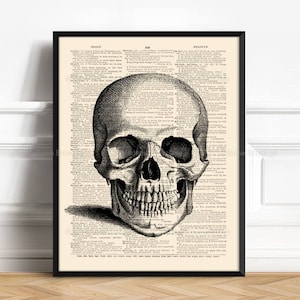 K&ouml;nnte beinhalten: Schwarz-wei&szlig; anatomische Illustration eines menschlichen Sch&auml;dels auf einer alten W&ouml;rterbuchseite. Der Sch&auml;del ist zentriert und f&uuml;llt den gr&ouml;&szlig;ten Teil des Bildes. Die W&ouml;rterbuchseite ist mit Text gef&uuml;llt, aber der Text ist gr&ouml;&szlig;tenteils vom Sch&auml;del verdeckt.