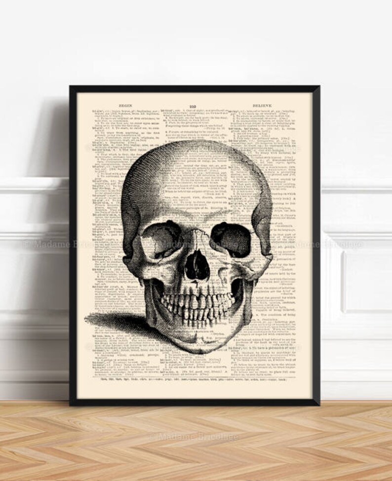K&ouml;nnte beinhalten: Schwarz-wei&szlig; anatomische Illustration eines menschlichen Sch&auml;dels auf einer alten W&ouml;rterbuchseite. Der Sch&auml;del ist zentriert und f&uuml;llt den gr&ouml;&szlig;ten Teil des Bildes. Die W&ouml;rterbuchseite ist mit Text gef&uuml;llt, aber der Text ist gr&ouml;&szlig;tenteils vom Sch&auml;del verdeckt.