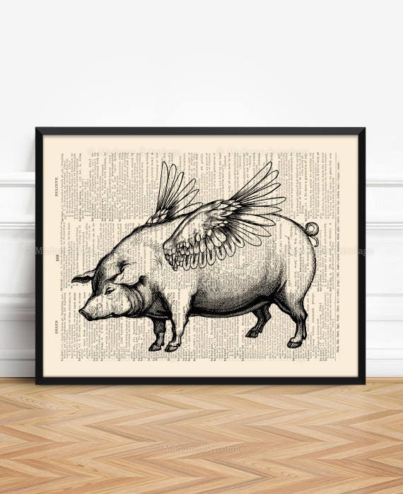 Pigs With Wings Unique Gift Friends Not Food Flying Pigs Etsy