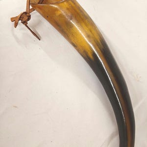May include: A brown and black drinking horn with a leather strap. The horn is polished and has a smooth surface.