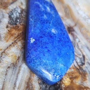 Lapis Lazuli, low dome cabochon, 549