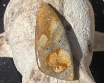 Orbicular rhyolite 562