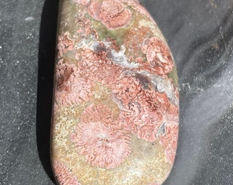 Orbicular Rhyolite