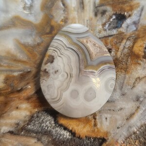 Low dome cabochon, Crazy Lace Agate 540