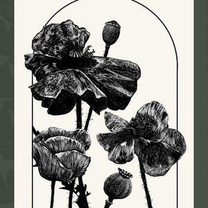 Poppies graphic print