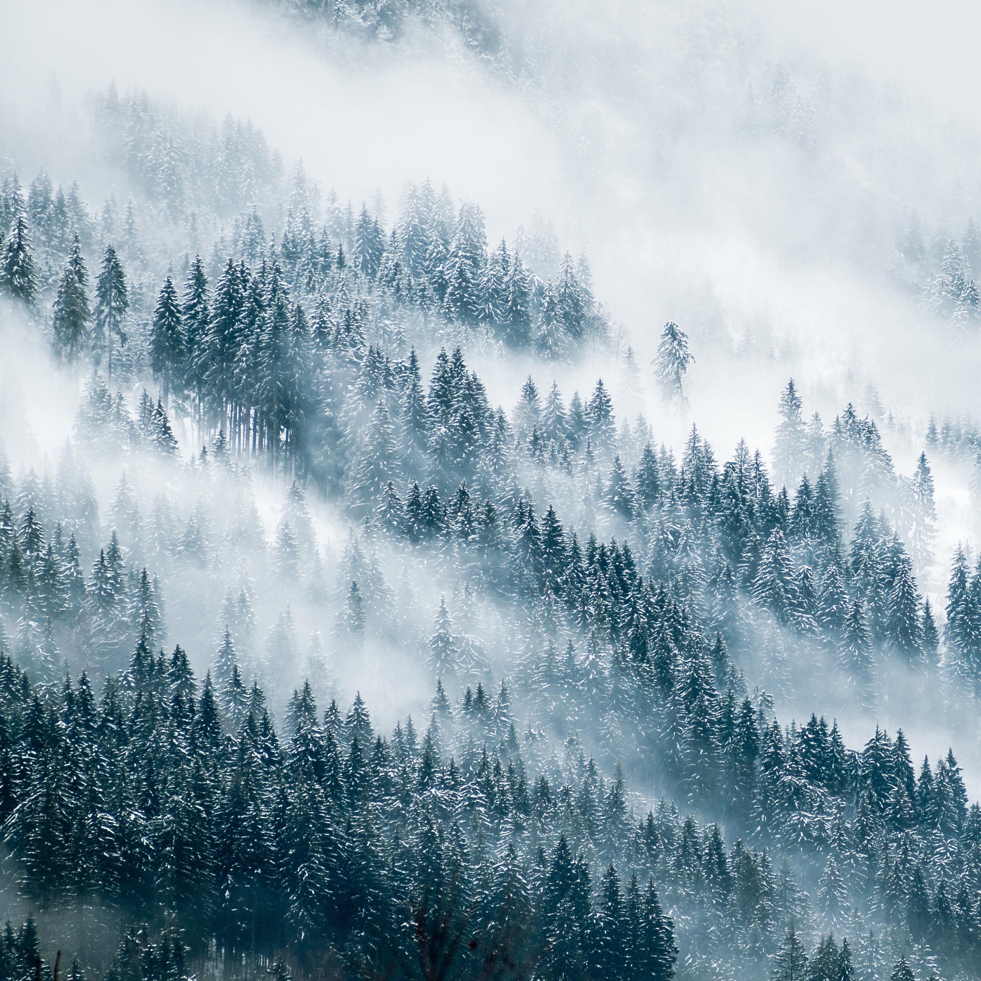 100Rauch Wolken Nebel PNG-Overlays transparent | Etsy