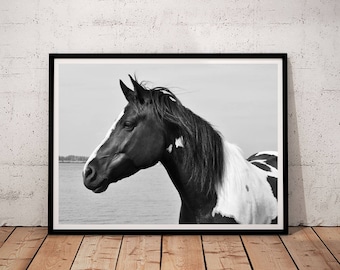 horse print, horse prints wall art, horse print black and white, horse printable, horse photography, printable wall art, downloadable prints