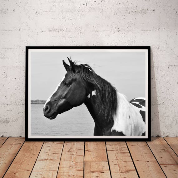 Horse Print Horse Prints Wall Art Horse Print Black And Etsy