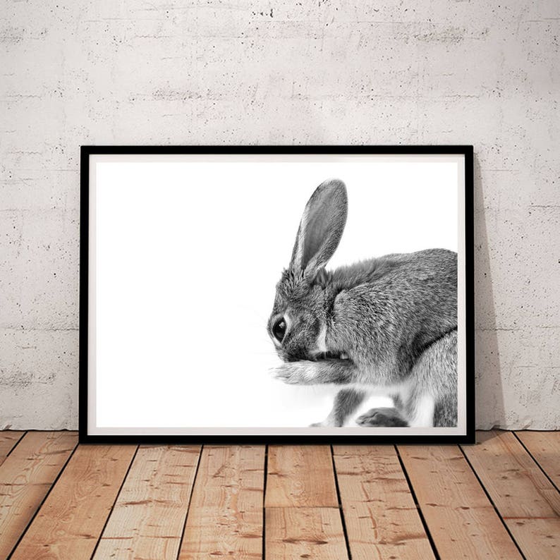 Woodland Nursery Decor Bunny Print downloadable prints Rabbit Print animal photography prints rabbit printable bunny printable