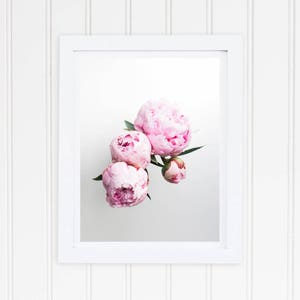 peony poster prints, peonies poster prints, Peony print, peonies print, peony prints, peonies prints, downloadable prints, instant download image 2