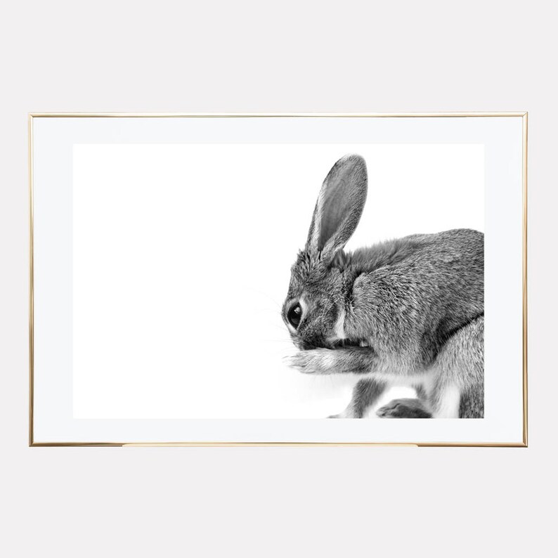 Woodland Nursery Decor Bunny Print downloadable prints Rabbit Print animal photography prints rabbit printable bunny printable