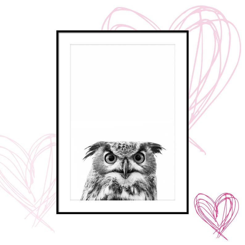 owl printable, owl print, owl poster, animal images prints, owl pictures, downloadable prints, printable wall artwork, electronic prints graphic relating to Printable Owl Pictures titled owl printable, owl print, owl poster, animal images prints, owl pictures, downloadable prints, printable wall artwork, electronic prints