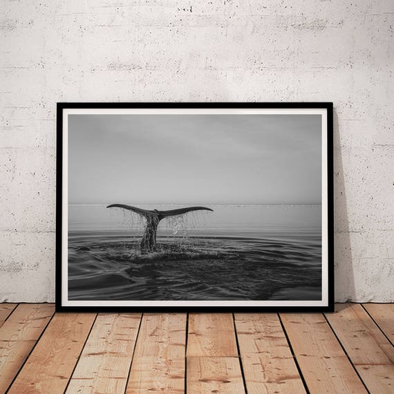 Decoracion Costera Costera Pared Arte Impresion De Ballena Etsy