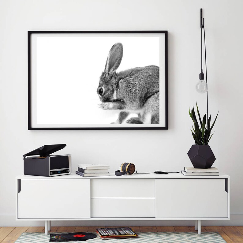 Woodland Nursery Decor Bunny Print downloadable prints Rabbit Print animal photography prints rabbit printable bunny printable