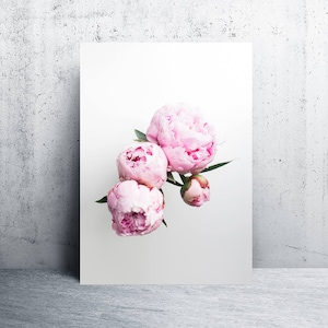 peony poster prints, peonies poster prints, Peony print, peonies print, peony prints, peonies prints, downloadable prints, instant download image 1