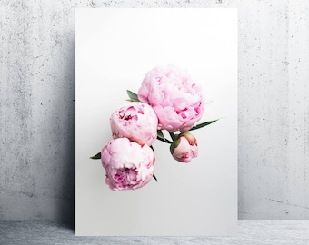 peony poster prints, peonies poster prints, Peony print, peonies print, peony prints, peonies prints, downloadable prints, instant download