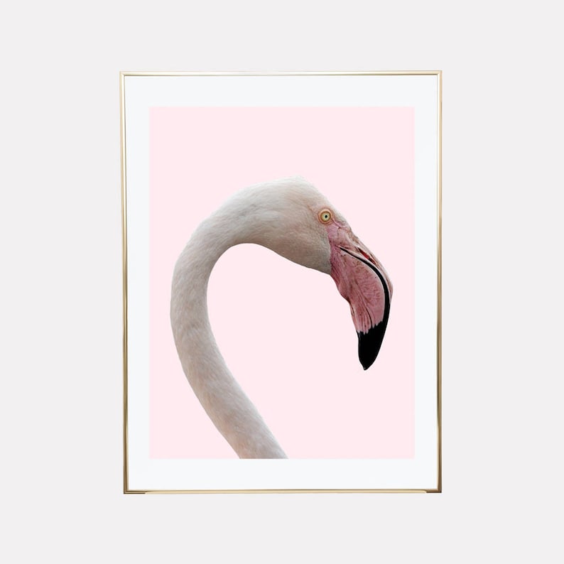Flamingo printable, Flamingos Print, Flamingo printable Artwork, Electronic Artwork Print, Downloadable Prints, Tropical Wall Artwork, blush red wall artwork image relating to Flamingo Printable called Flamingo printable, Flamingos Print, Flamingo printable Artwork, Electronic Artwork Print, Downloadable Prints, Tropical Wall Artwork, blush crimson wall artwork