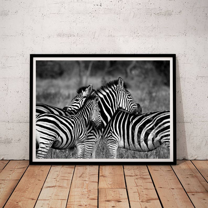 Zebra Printable Zebra Print Zebra Print Wall Art Zebra Etsy